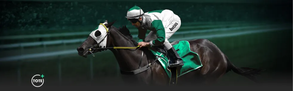 IT,Your Vibe,米兰冬奥会,天天盈球足球即时比分,天天盈球比分,天天盈球体育比分网,比分直播