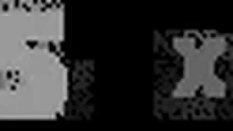 斯帕莱蒂：德国队体型优势明显，次轮对决信心十足