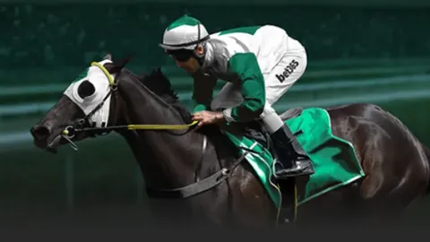 米兰冬奥会标语发布：IT's Your Vibe！中文译法受网友好评，央视新闻客户端报道